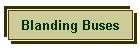 Blanding Buses